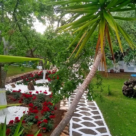 Appartement Emilia *